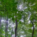 가리산자연휴양림 이미지