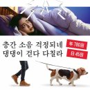 MZ커피 이미지