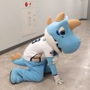 단디 Daum카페