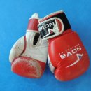 수년복싱 이미지