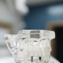 굿플랜치과 이미지