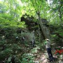 광산골식당 이미지