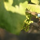 이승민농장 이미지