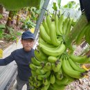 김태성농장 이미지