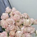 플로스유화 이미지