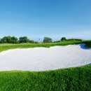 그린파크골프랜드 이미지