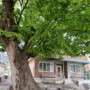 새텃말경로당 이미지