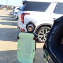 신림동주민센터 | 납작만두 / 독서지옥 / 뮌스터담 눈썰매 후기