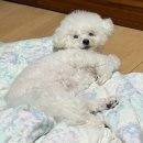 포항대흥초등학교 | 그럼에도 좋아해 보려 해