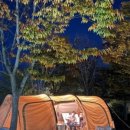 구석기체험숲1 이미지