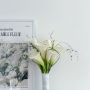 오브벨유 | 부산 서면 부케 말리기 선물 공방 센오브유 내돈내산 후기