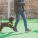 운동장당구장 이미지