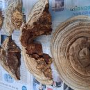 검성로1-5 이미지