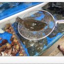 팔팔회센타 이미지