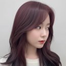 성빈시스템