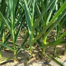 귀동농장 이미지