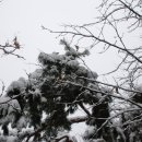 광진구청 이미지