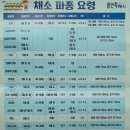 씨돌농장 이미지