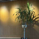 포항시북구10 | 포항 북구 영일대 카페 오브레멘 회전목마 감성카페 내돈내산 후기