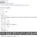 홍삼 제품 78% 파격할인! 홍삼 광고하는 유튜버들 이미지