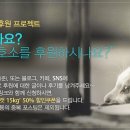 이리온 이미지