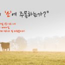 국립김해박물관 이미지