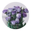 우리가족힐링푸드테라피1 | [아루나찰라] 엄마들을 위한 ‘마인드 테라피 힐링여행’ 펀딩이 시작됐습니다!