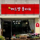 레드벨플라워