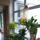 예닮어린이집 이미지