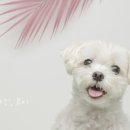 원앤스튜디오 네이버블로그