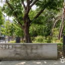 서울매헌초등학교 이미지