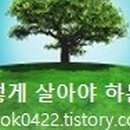 아모니카