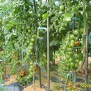 동수농장 이미지