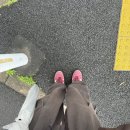 일본 한 달 살기 16일차 | 혼자 도쿄 해리포터 스튜디오 (예약 방법, 신주쿠에서 가는 법, 소요 시간...
