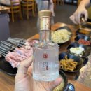 똘이네양꼬치마라탕 | [인천] 서구 서구청 근처 양꼬치 맛집, 연태고량주 | 양꼬치 | 양갈비 : 똘이네 양꼬치 마라탕