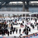 뚝섬한강공원-56 이미지