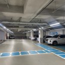 골프로그 스튜디오 이미지