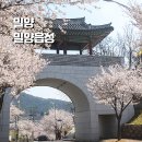 동문고개주차장 화장실 | 밀양벚꽃명소 밀양읍성 주차장에서 포토존까지