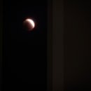 적월 | 36년 만에 뜬 정월 대보름 붉은 달 레드문 촬영 후기