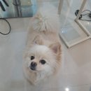 우브헤어 | [노원 미용실] 우브헤어 S컬펌 솔직 후기