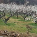 탐진농원 이미지