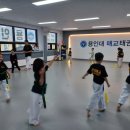 용인대 정도태권도장 이미지