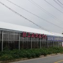 황금손세차 이미지
