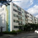 사파동203 이미지