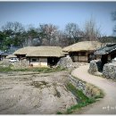 돌담 Daum카페