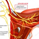 세천아침한의원 이미지