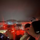 에코포스트(주) | 올리브영 추천템&amp;비추천템 솔직후기!!(100% 내돈내산) 웰라쥬 블루앰플/넘버즈인 1번 크림/크리스탈...