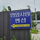 여주연잎사랑펜션 | 경기여주 연잎사랑펜션 여름MT다녀왔어요