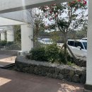 스테이낭 이미지