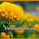 [태국 뉴스] 7월5일 정치, 경제, 사회, 문화 이미지